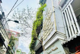 Ngộp Lạc Long Quân - giáp Q10 - 4 tầng  - view HXH gần 40 m2